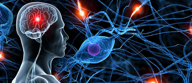 neurologische en zzenuwaandoeningen oorzaken van erectiestoornis